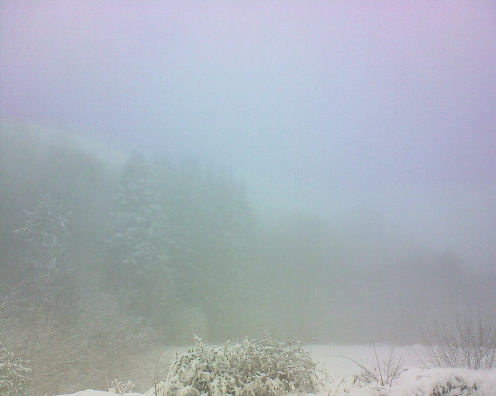 Le petit ballon (Alsace, Vosges) le 11.01.2026 à 11:30