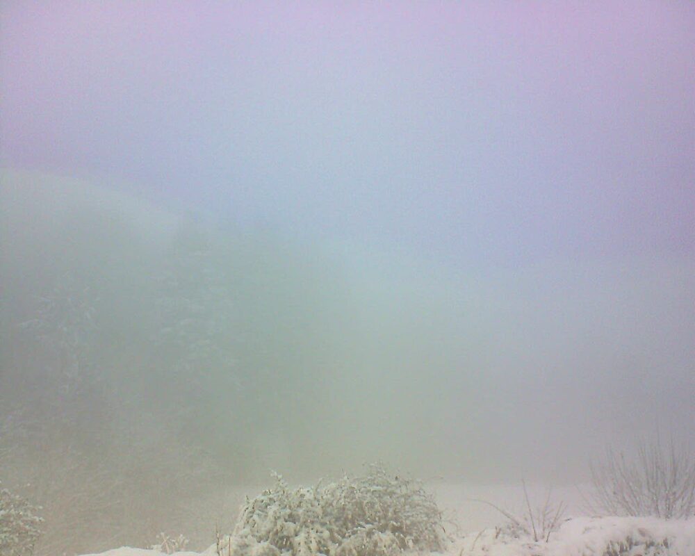 Le petit ballon (Alsace, Vosges) le 11.01.2026 à 12:30