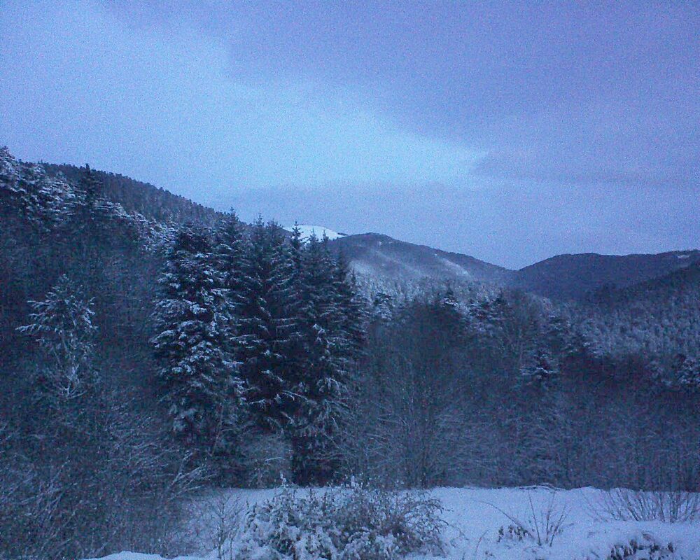 Le petit ballon (Alsace, Vosges) le 12.01.2026 à 08:00