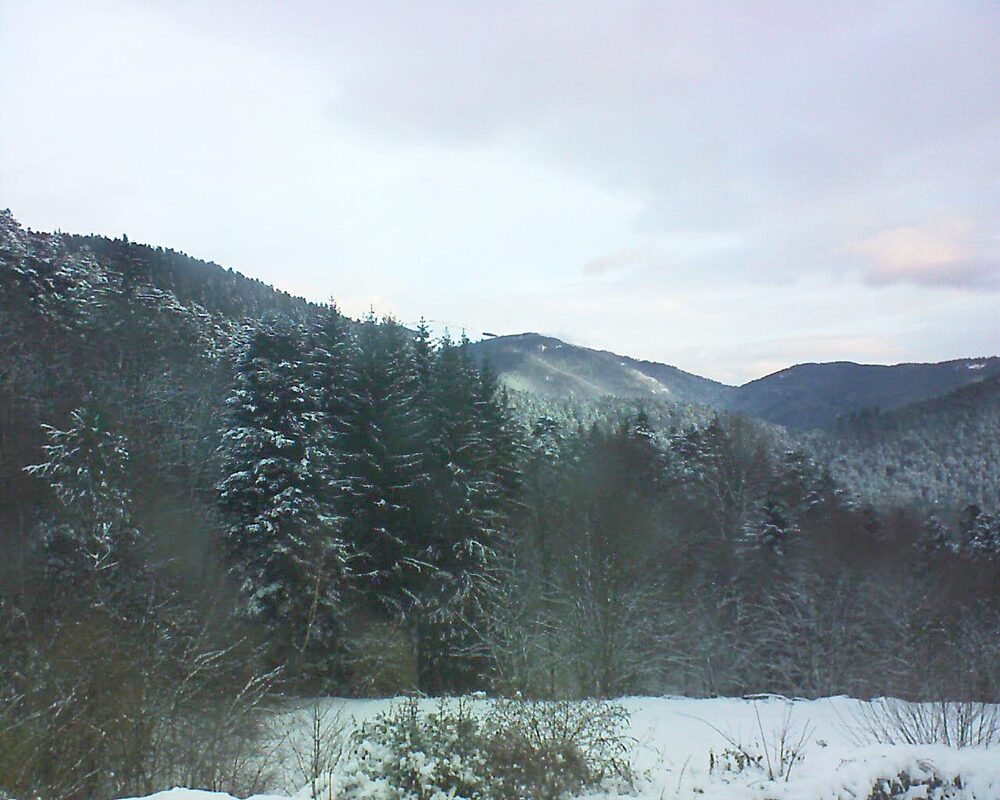 Le petit ballon (Alsace, Vosges) le 12.01.2026 à 08:30