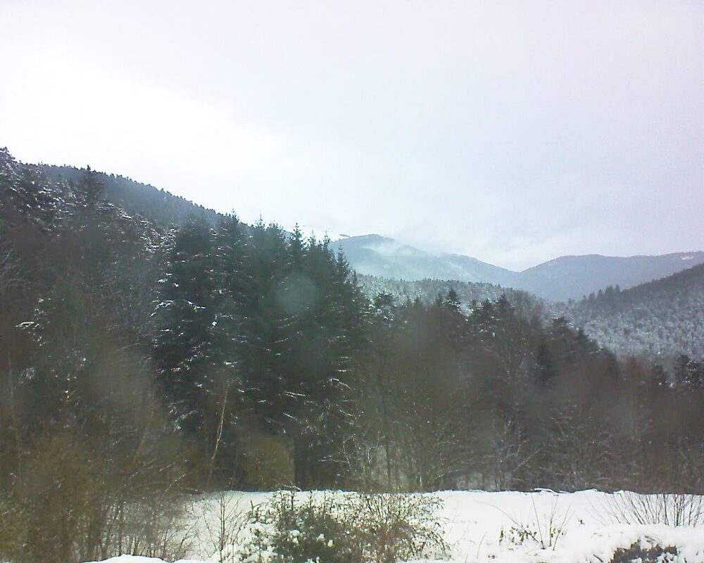 Le petit ballon (Alsace, Vosges) le 12.01.2026 à 09:00