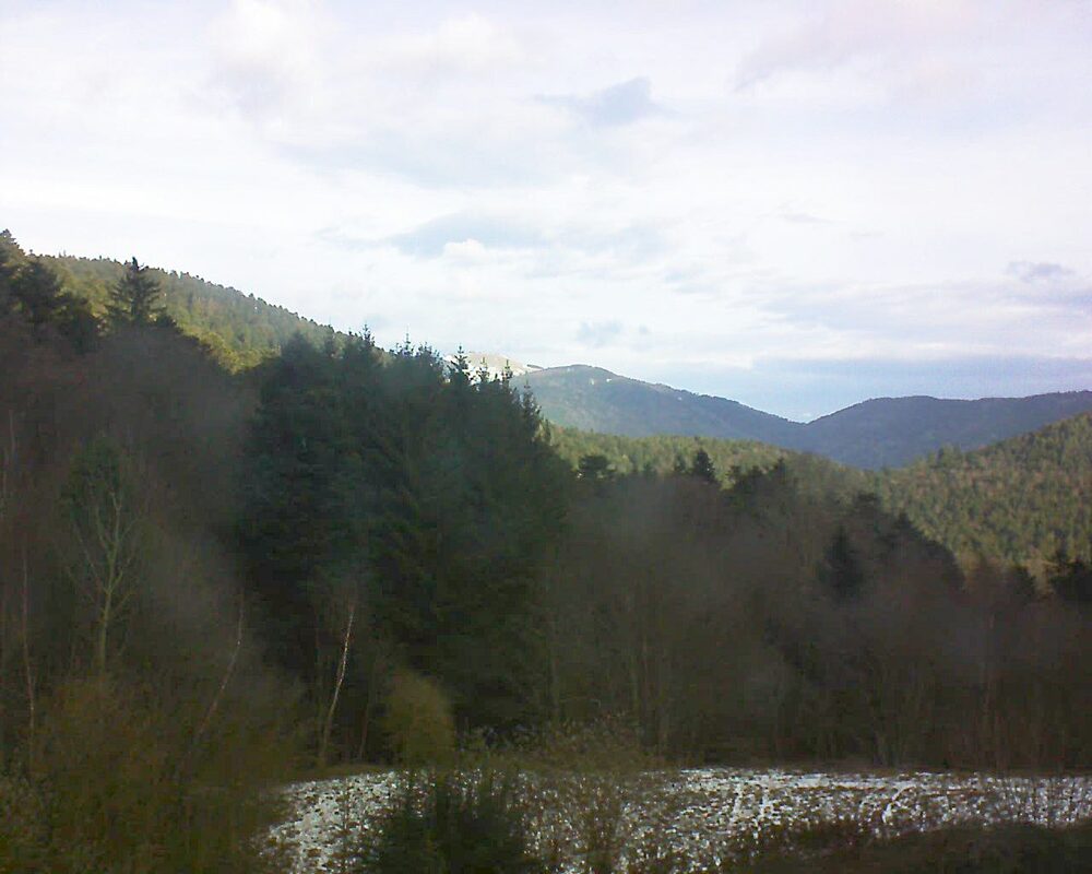 Le petit ballon (Alsace, Vosges) le 14.01.2026 à 10:30