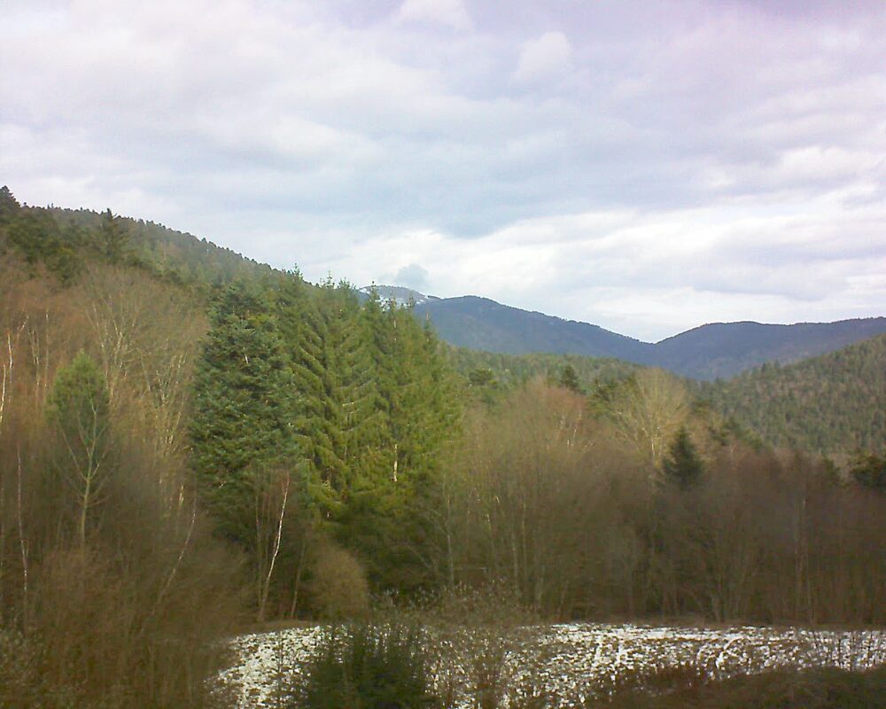 Le petit ballon (Alsace, Vosges) le 14.01.2026 à 11:30