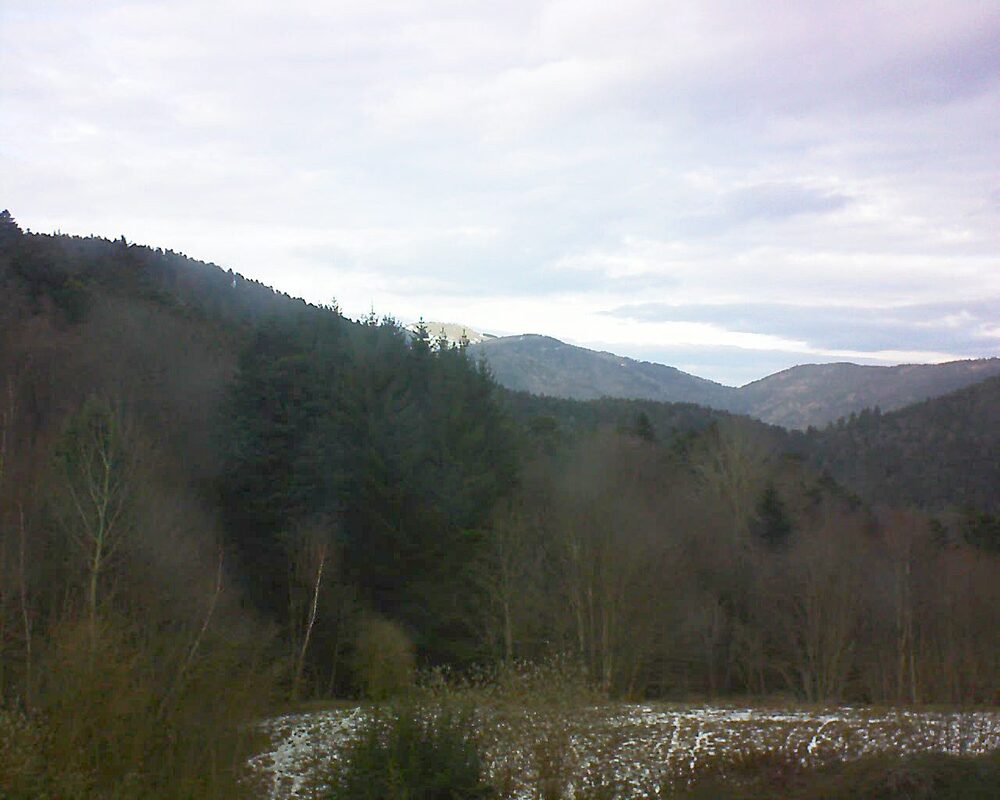 Le petit ballon (Alsace, Vosges) le 14.01.2026 à 14:30