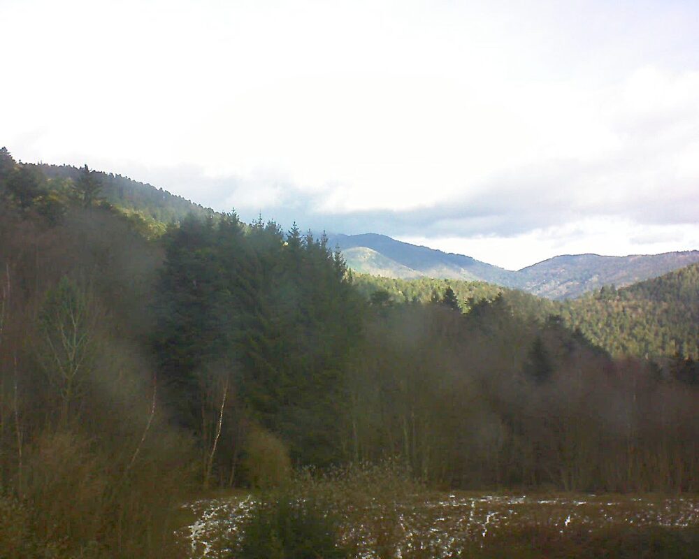 Le petit ballon (Alsace, Vosges) le 15.01.2026 à 10:30