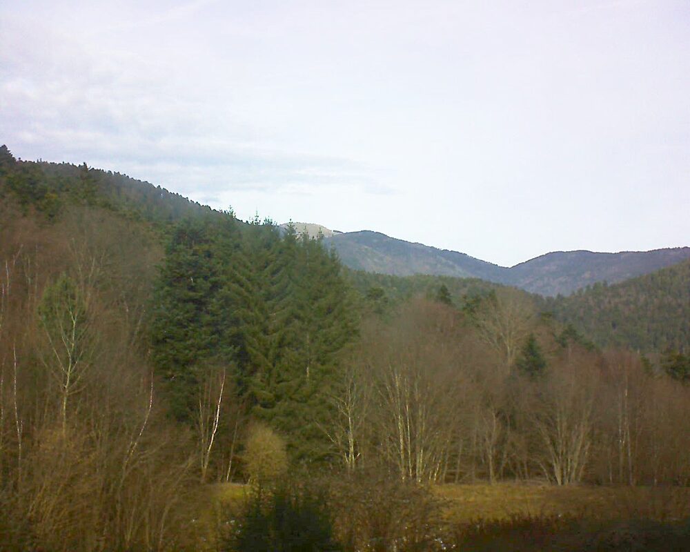 Le petit ballon (Alsace, Vosges) le 17.01.2026 à 12:30