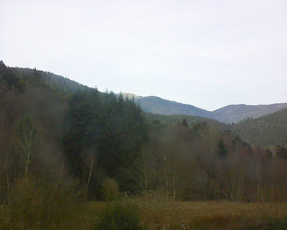 Le petit ballon (Alsace, Vosges) le 17.01.2026 à 14:30