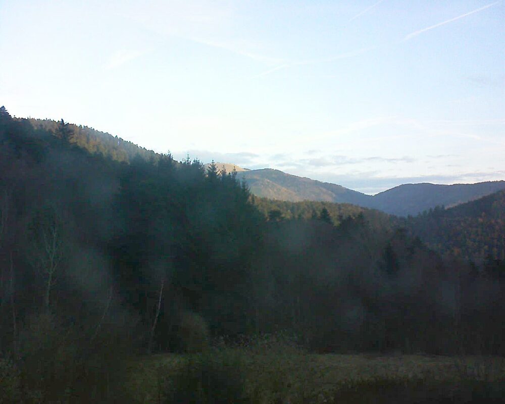 Le petit ballon (Alsace, Vosges) le 22.01.2026 à 08:30