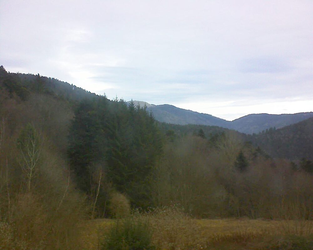 Le petit ballon (Alsace, Vosges) le 22.01.2026 à 10:00