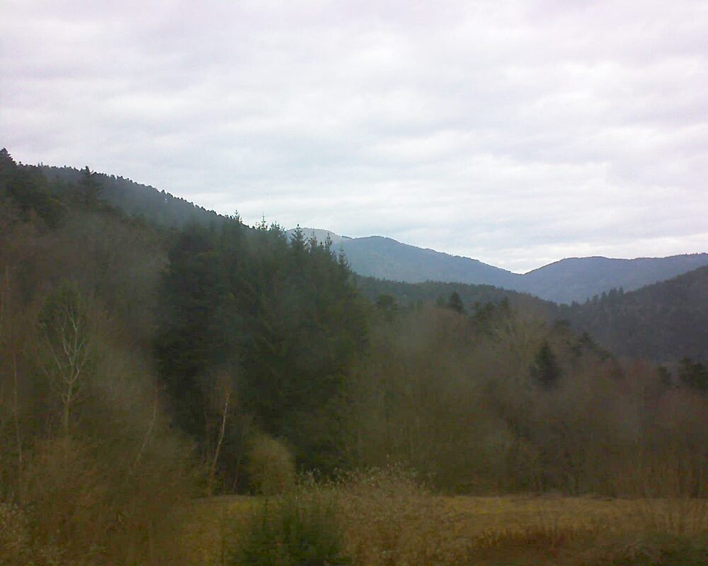 Le petit ballon (Alsace, Vosges) le 23.01.2026 à 12:45