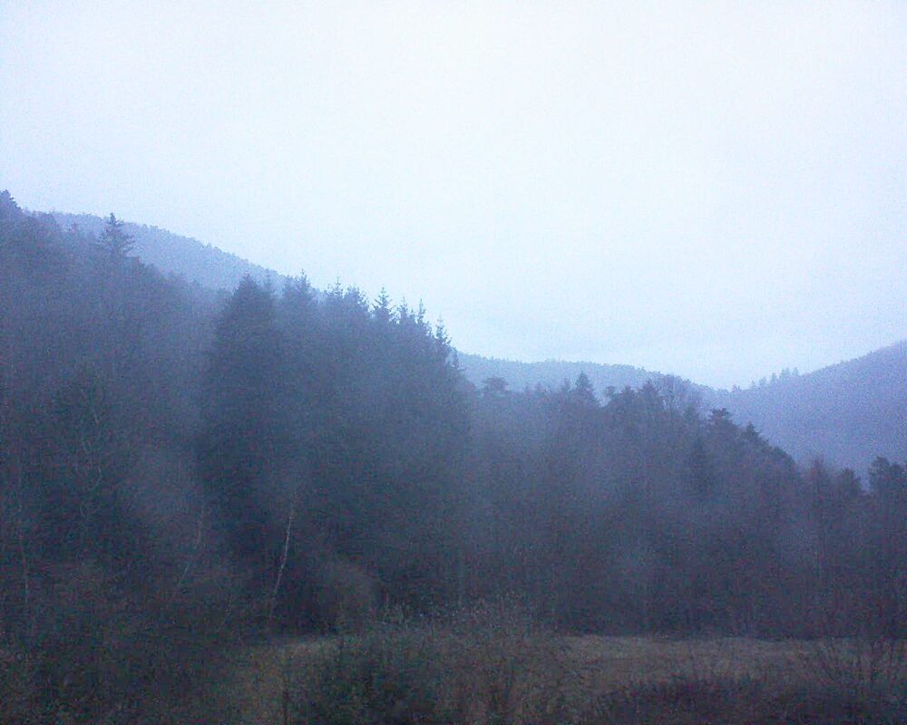 Le petit ballon (Alsace, Vosges) le 28.01.2026 à 08:00