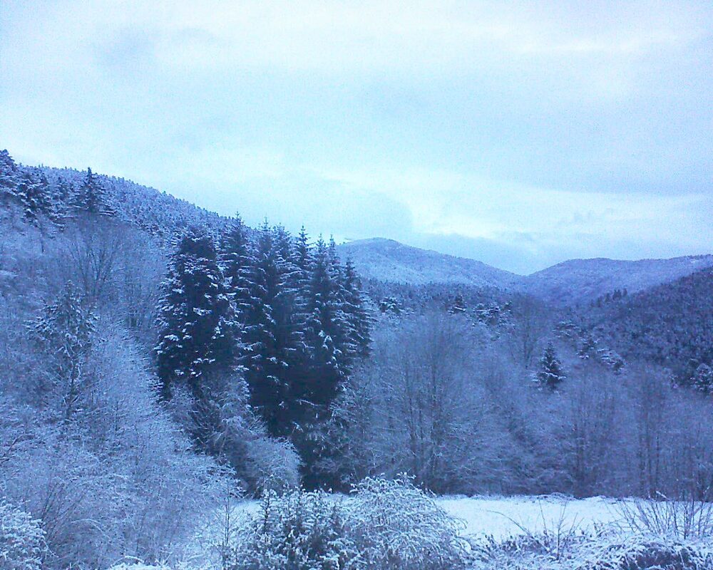 Le petit ballon vu depuis le Domaine Langmatt à Murbach le 29.01.2026 à 08:00 Le petit ballon (Alsace, Vosges) le 29.01.2026 à 08:00