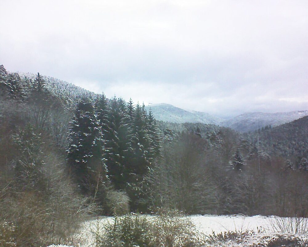 Le petit ballon (Alsace, Vosges) le 29.01.2026 à 10:00