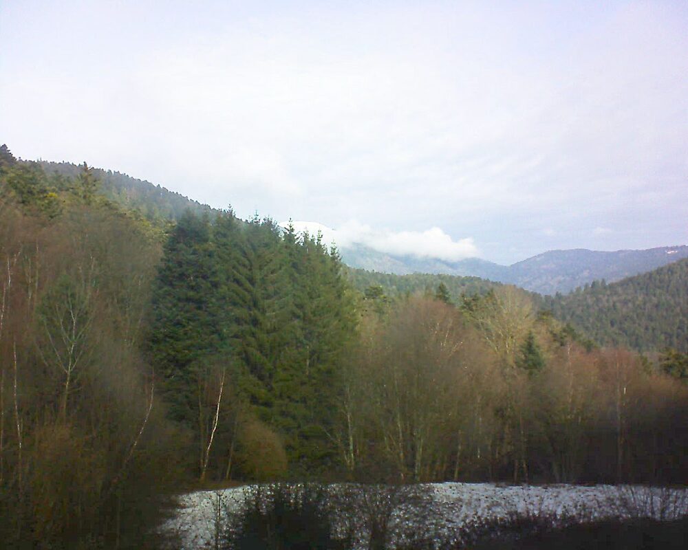 Le petit ballon (Alsace, Vosges) le 31.01.2026 à 11:30