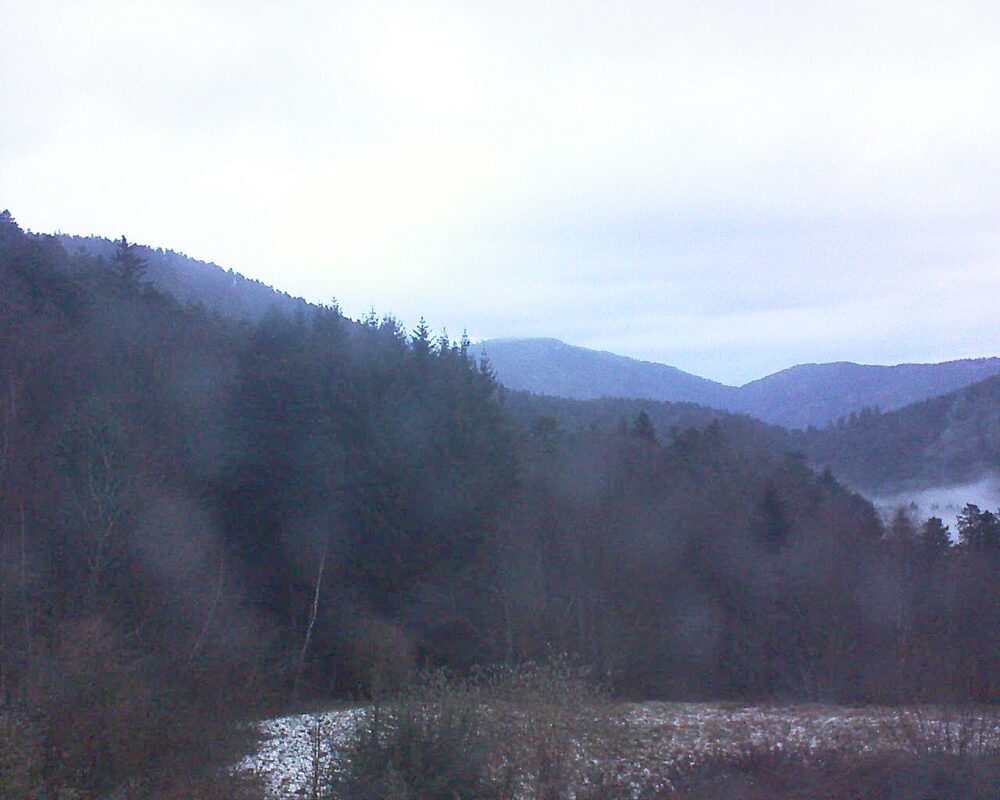 Le petit ballon (Alsace, Vosges) le 01.02.2026 à 08:00