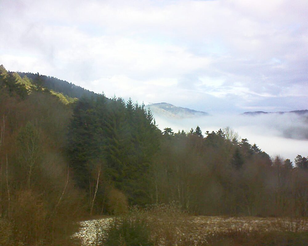 Le petit ballon (Alsace, Vosges) le 01.02.2026 à 10:00