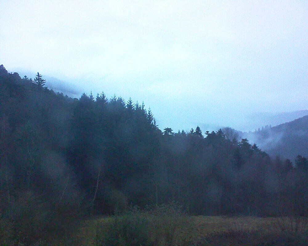 Le petit ballon (Alsace, Vosges) le 02.02.2026 à 08:00