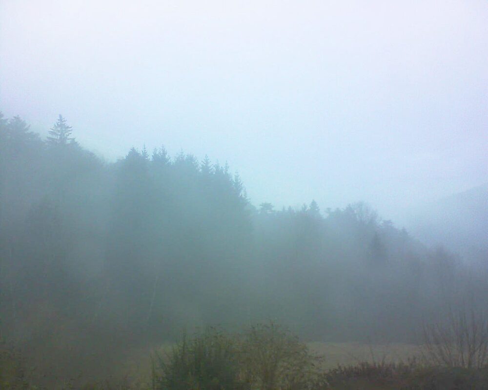 Le petit ballon (Alsace, Vosges) le 02.02.2026 à 09:00