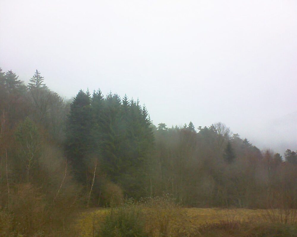 Le petit ballon (Alsace, Vosges) le 02.02.2026 à 10:00