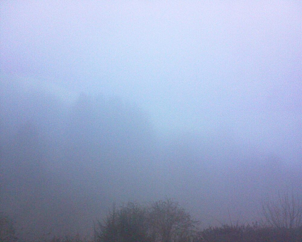 Le petit ballon (Alsace, Vosges) le 03.02.2026 à 08:00