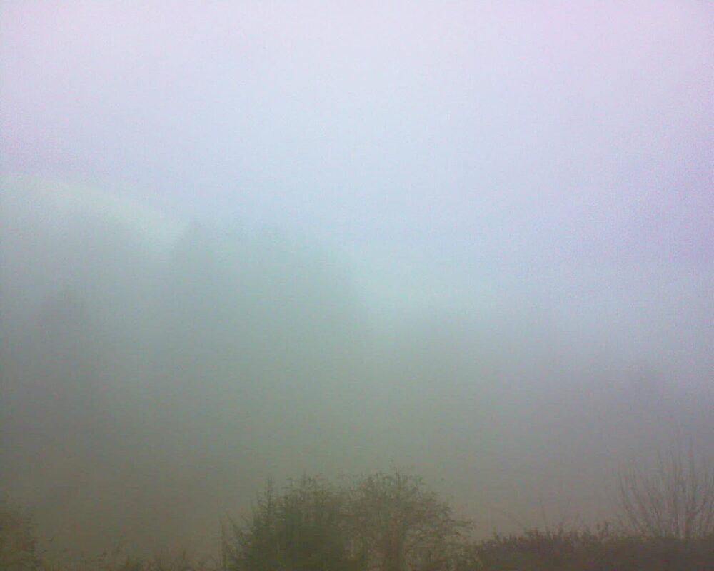 Le petit ballon (Alsace, Vosges) le 03.02.2026 à 10:00