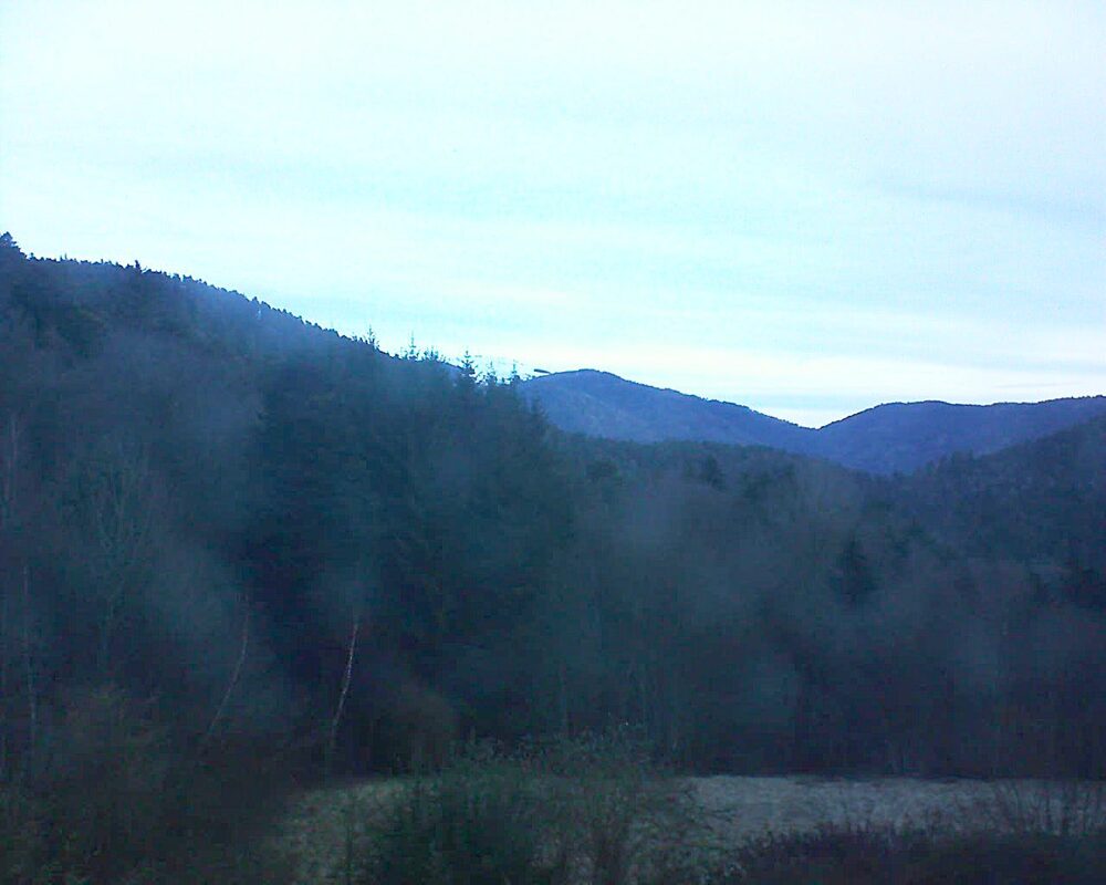 Le petit ballon (Alsace, Vosges) le 04.02.2026 à 08:00