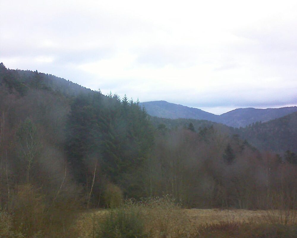 Le petit ballon (Alsace, Vosges) le 05.02.2026 à 09:00