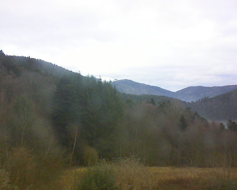 Le petit ballon (Alsace, Vosges) le 05.02.2026 à 09:45