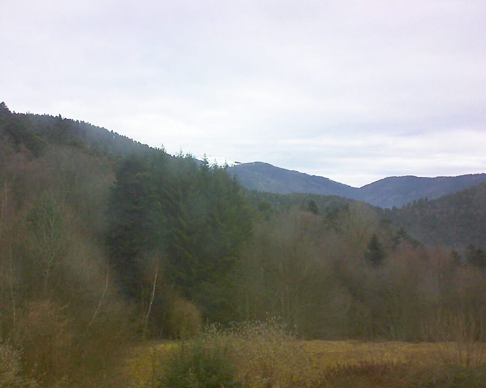 Le petit ballon (Alsace, Vosges) le 05.02.2026 à 10:00
