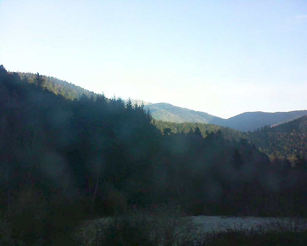 Le petit ballon (Alsace, Vosges) le 08.02.2026 à 08:30