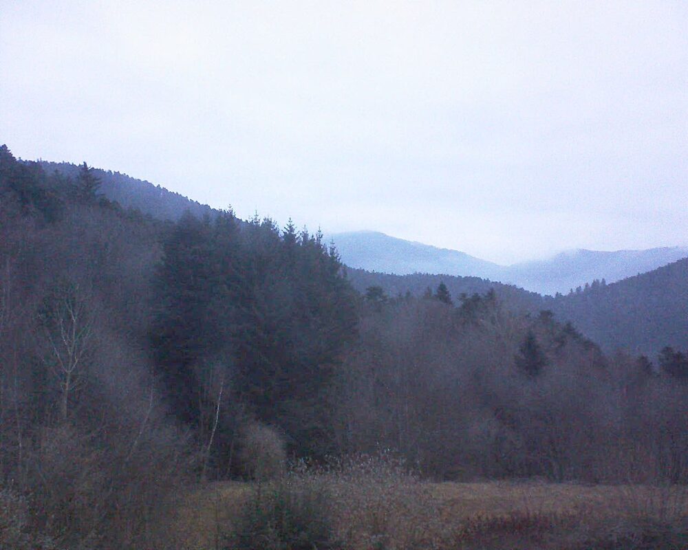 Le petit ballon (Alsace, Vosges) le 09.02.2026 à 07:45