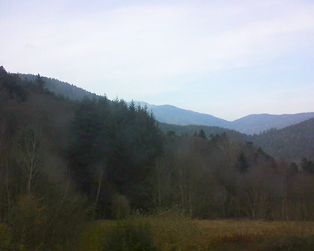 Le petit ballon (Alsace, Vosges) le 09.02.2026 à 15:45