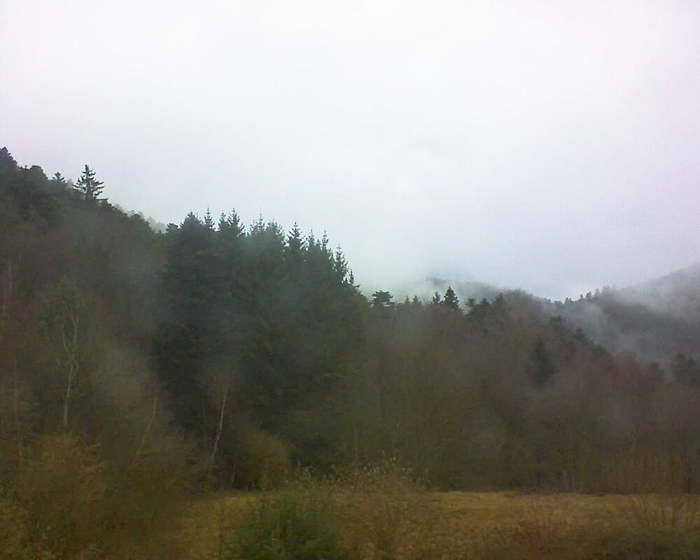 Le petit ballon (Alsace, Vosges) le 13.02.2026 à 15:45