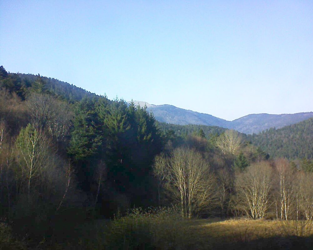 Le petit ballon (Alsace, Vosges) le 27.02.2026 à 15:45