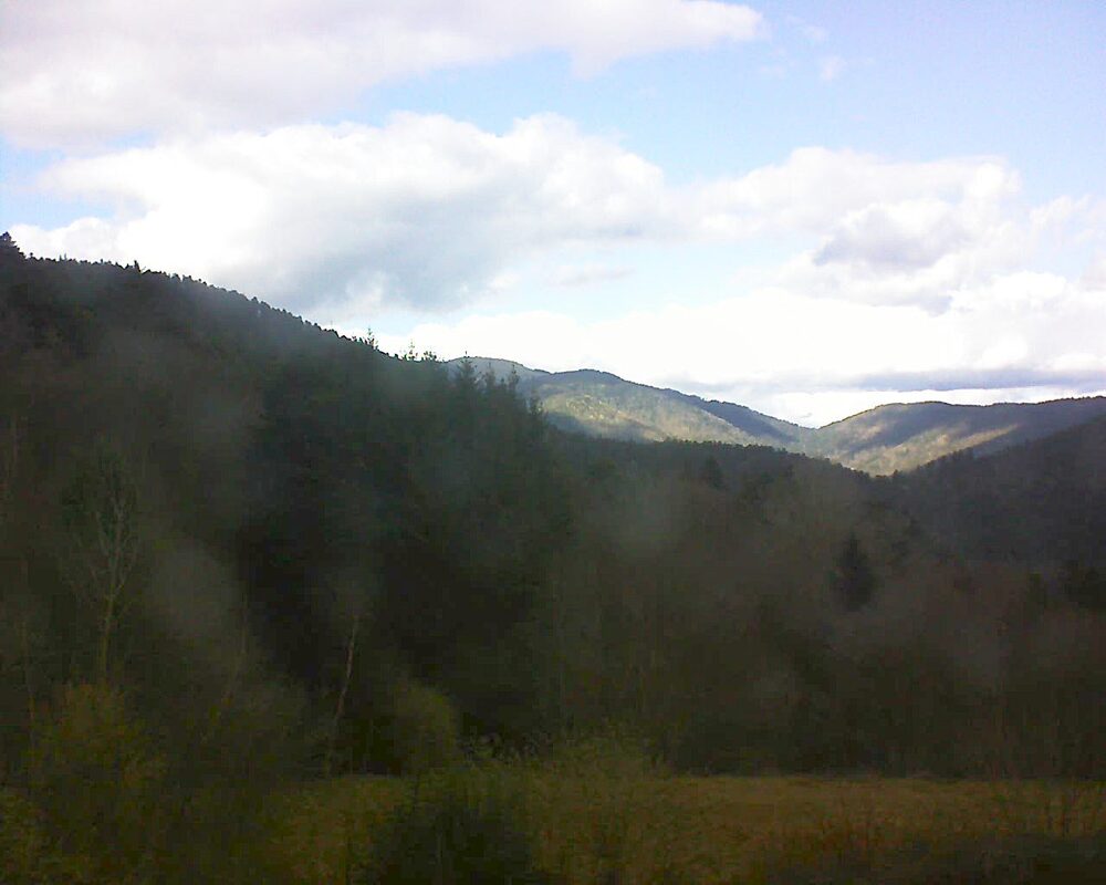 Le petit ballon (Alsace, Vosges) le 01.03.2026 à 14:45