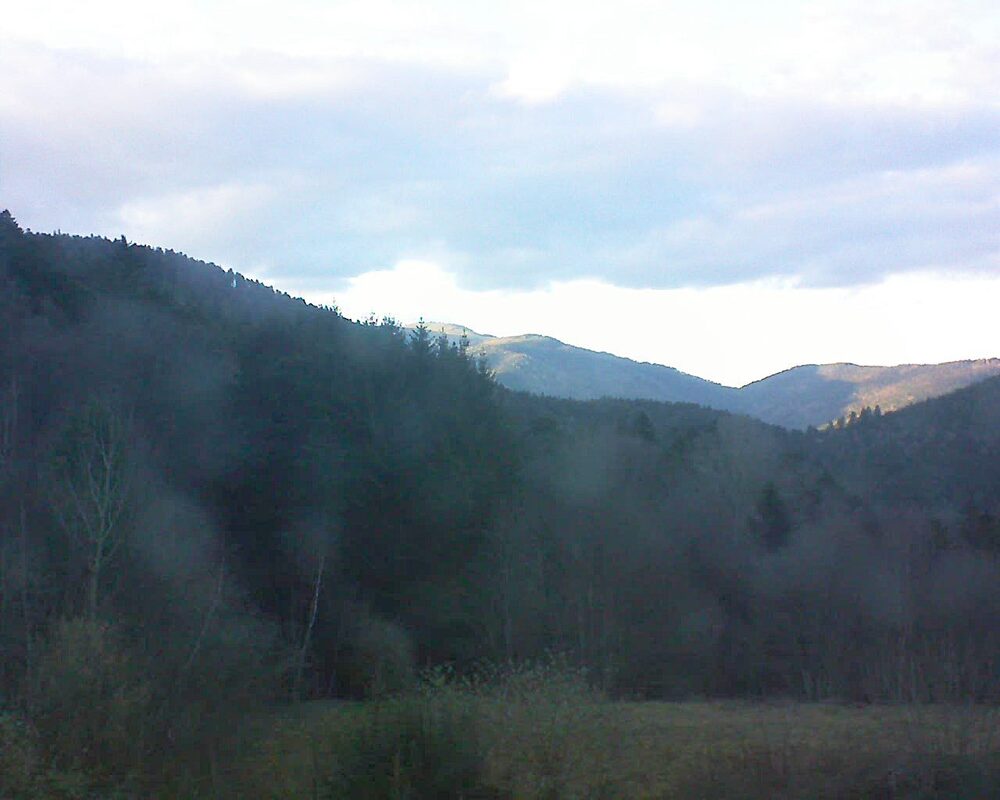 Le petit ballon (Alsace, Vosges) le 01.03.2026 à 17:45