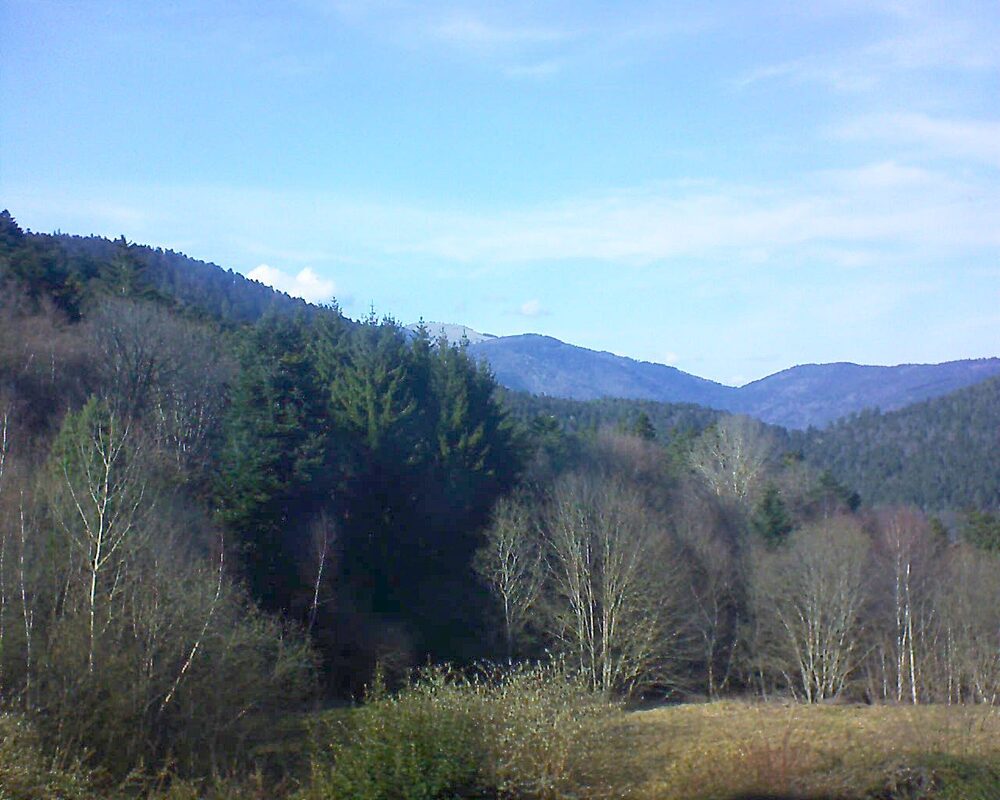 Le petit ballon vu depuis le Domaine Langmatt à Murbach le 03.03.2026 à 15:30 Le petit ballon (Alsace, Vosges) le 03.03.2026 à 15:30