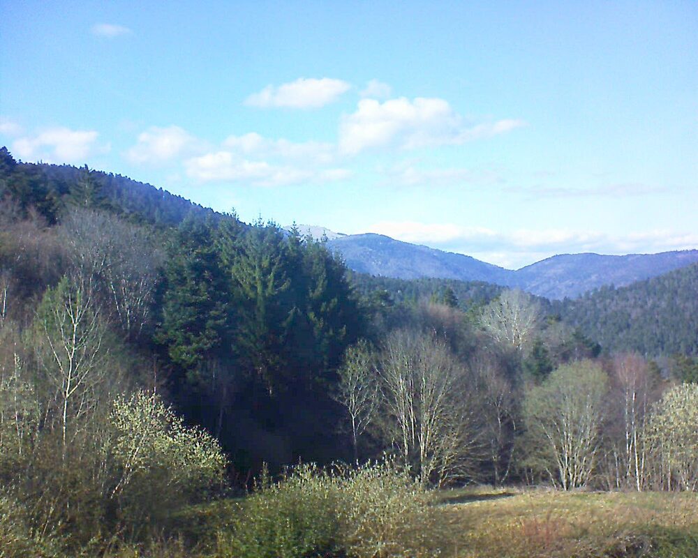 Le petit ballon (Alsace, Vosges) le 12.03.2026 à 15:45