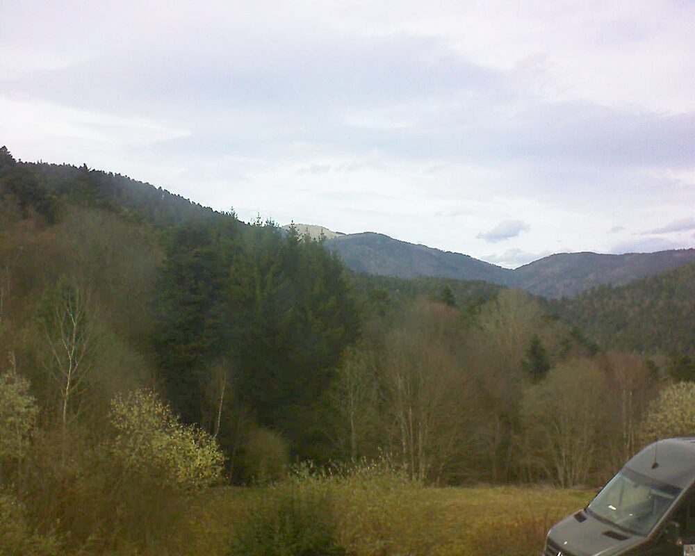 Le petit ballon (Alsace, Vosges) le 13.03.2026 à 15:30
