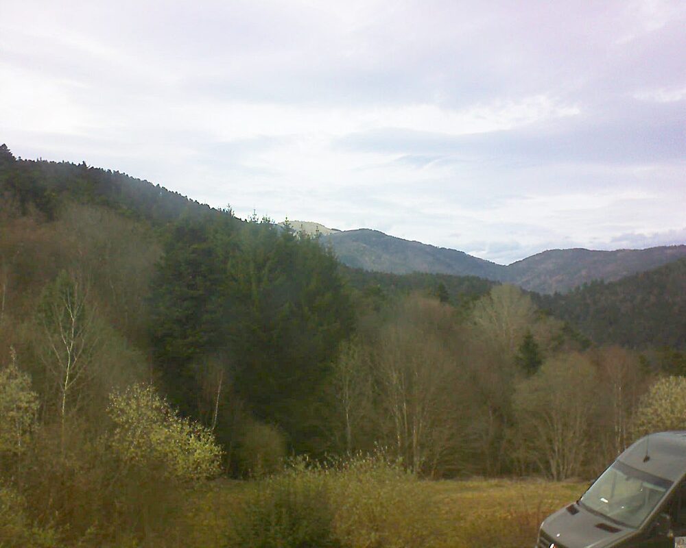 Le petit ballon (Alsace, Vosges) le 13.03.2026 à 15:45