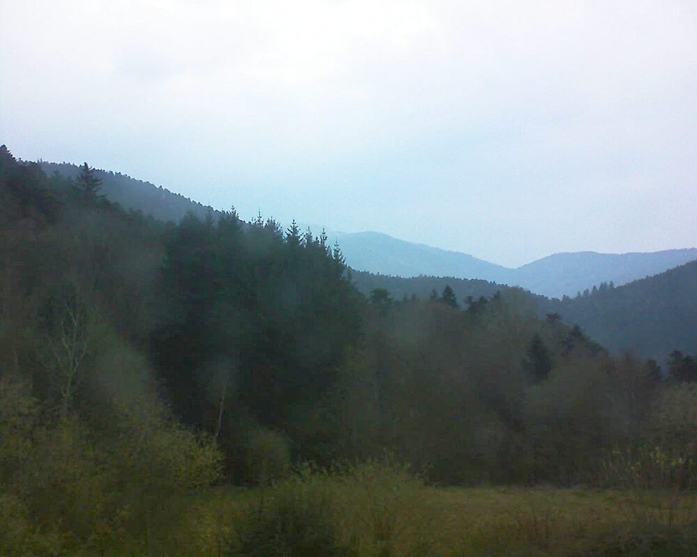 Le petit ballon (Alsace, Vosges) le 21.03.2026 à 18:00