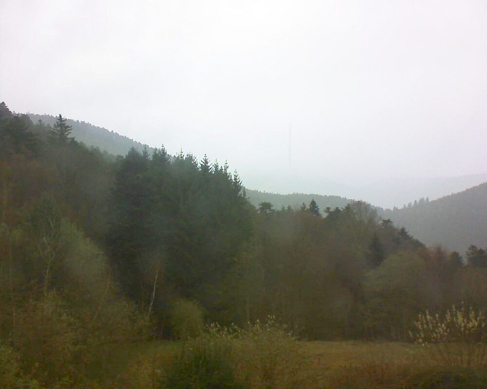 Le petit ballon (Alsace, Vosges) le 25.03.2026 à 15:00