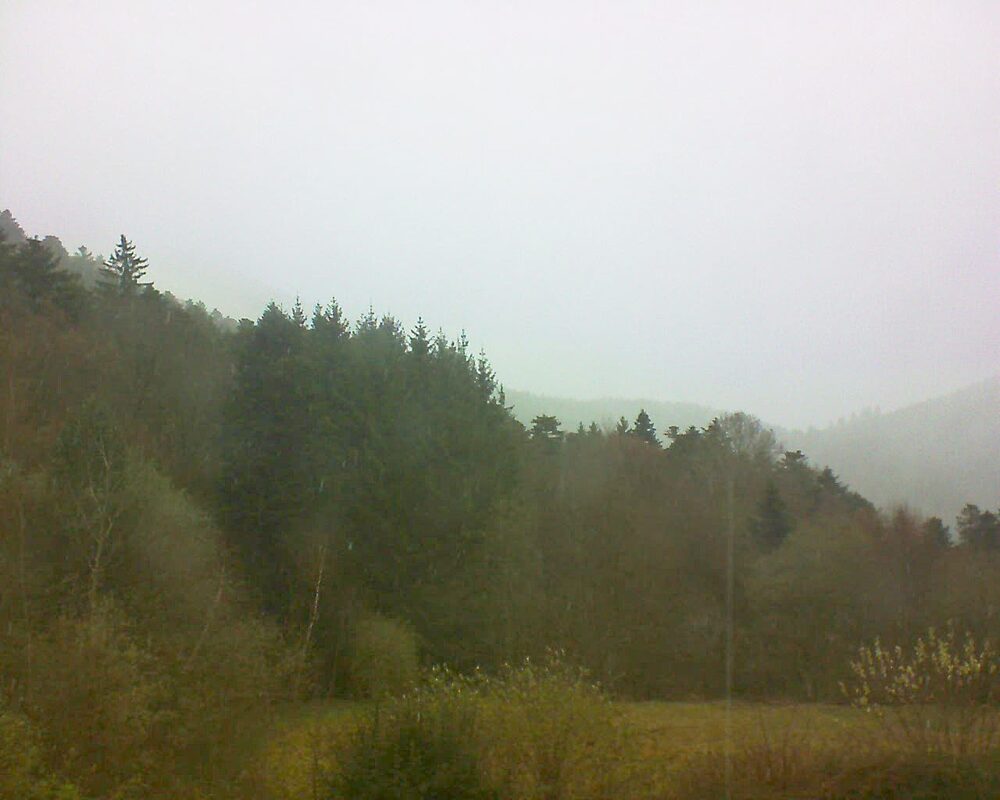 Le petit ballon (Alsace, Vosges) le 25.03.2026 à 17:45