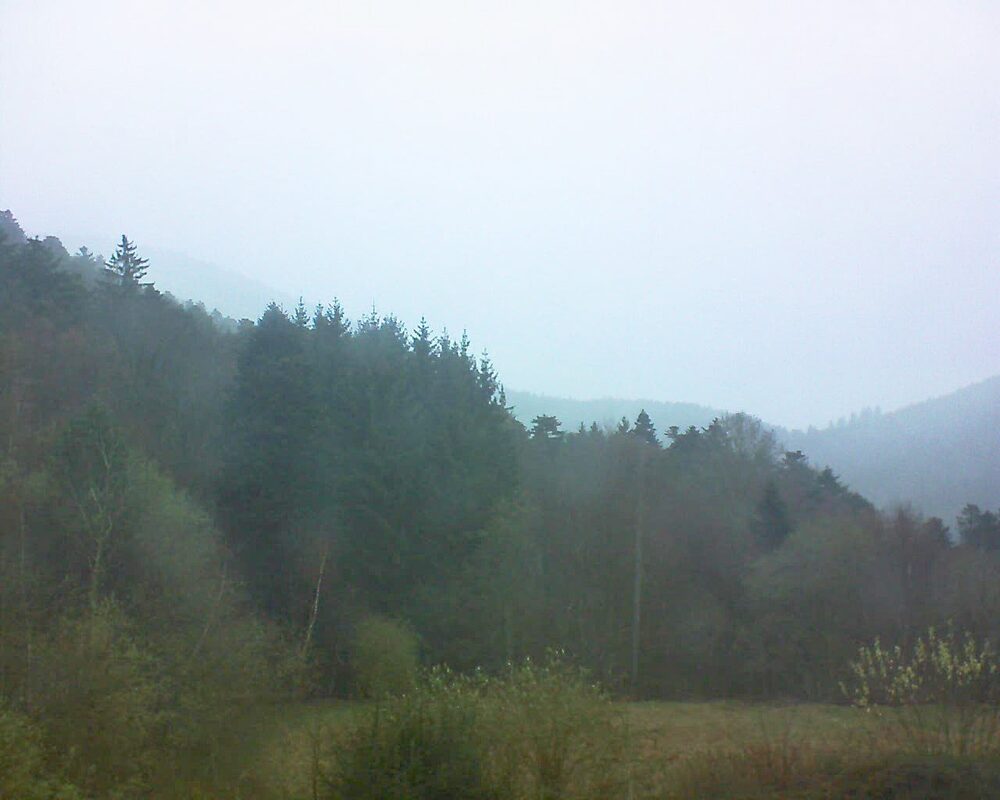 Le petit ballon (Alsace, Vosges) le 25.03.2026 à 18:00