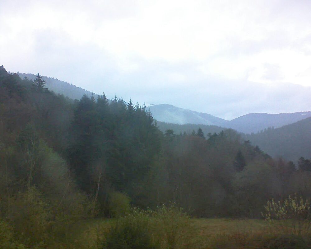 Le petit ballon (Alsace, Vosges) le 25.03.2026 à 18:15
