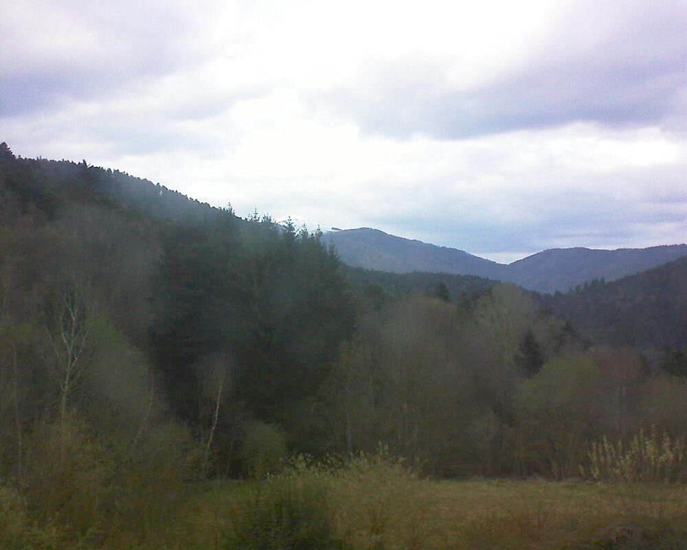 Le petit ballon (Alsace, Vosges) le 29.03.2026 à 18:00