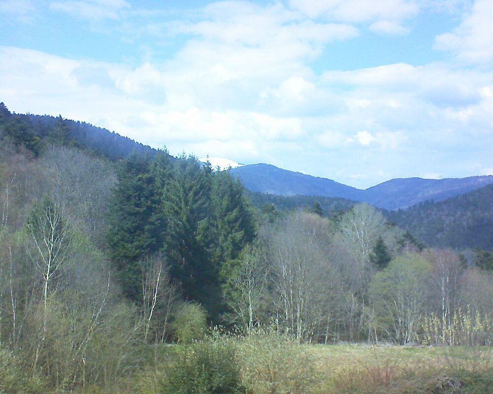 Le petit ballon (Alsace, Vosges) le 01.04.2026 à 15:00