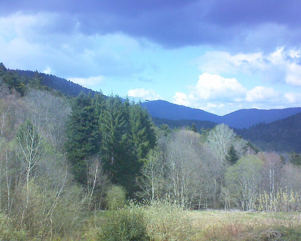 Le petit ballon (Alsace, Vosges) le 01.04.2026 à 20:30