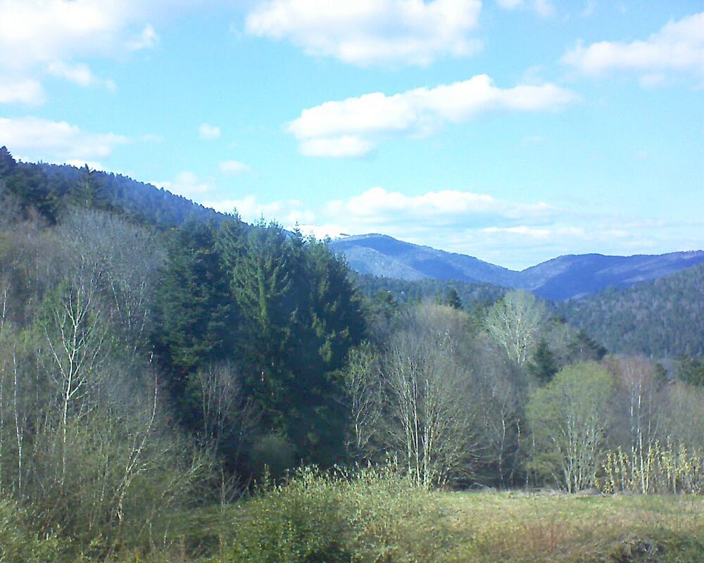 Le petit ballon (Alsace, Vosges) le 02.04.2026 à 18:00