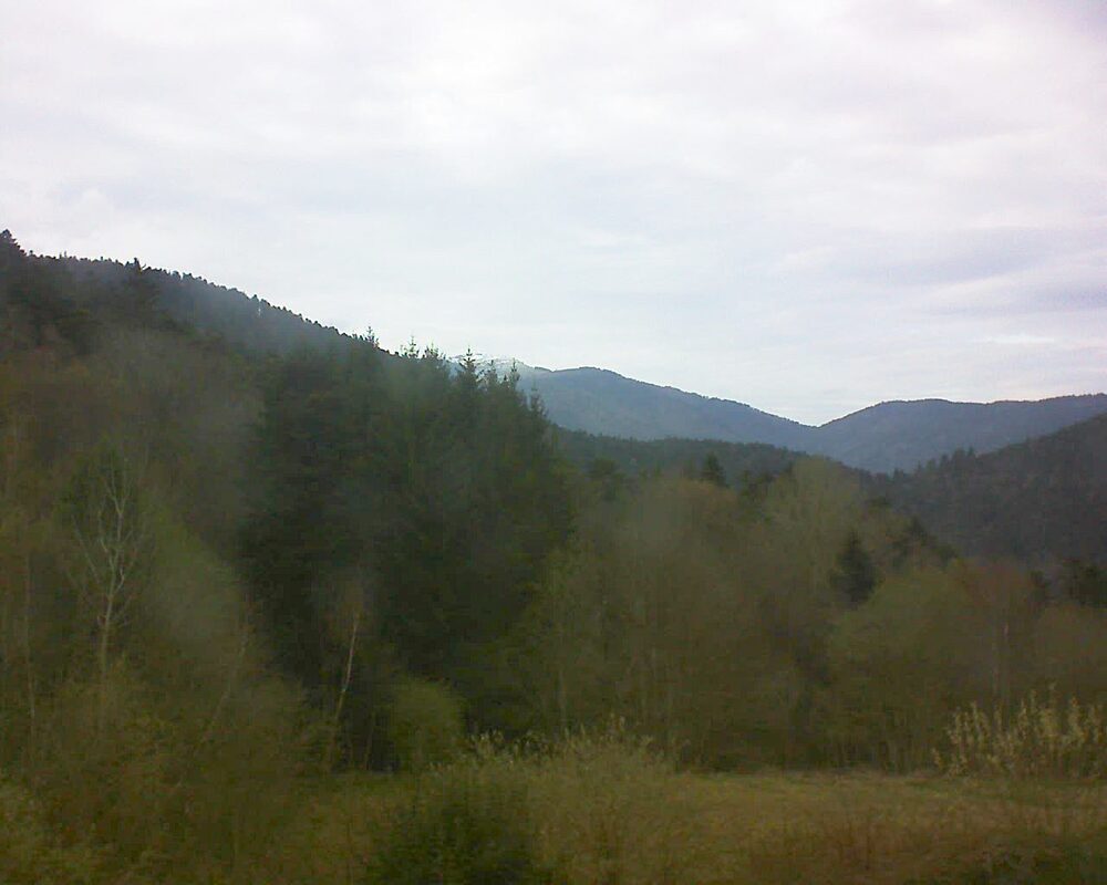 Le petit ballon (Alsace, Vosges) le 03.04.2026 à 18:00